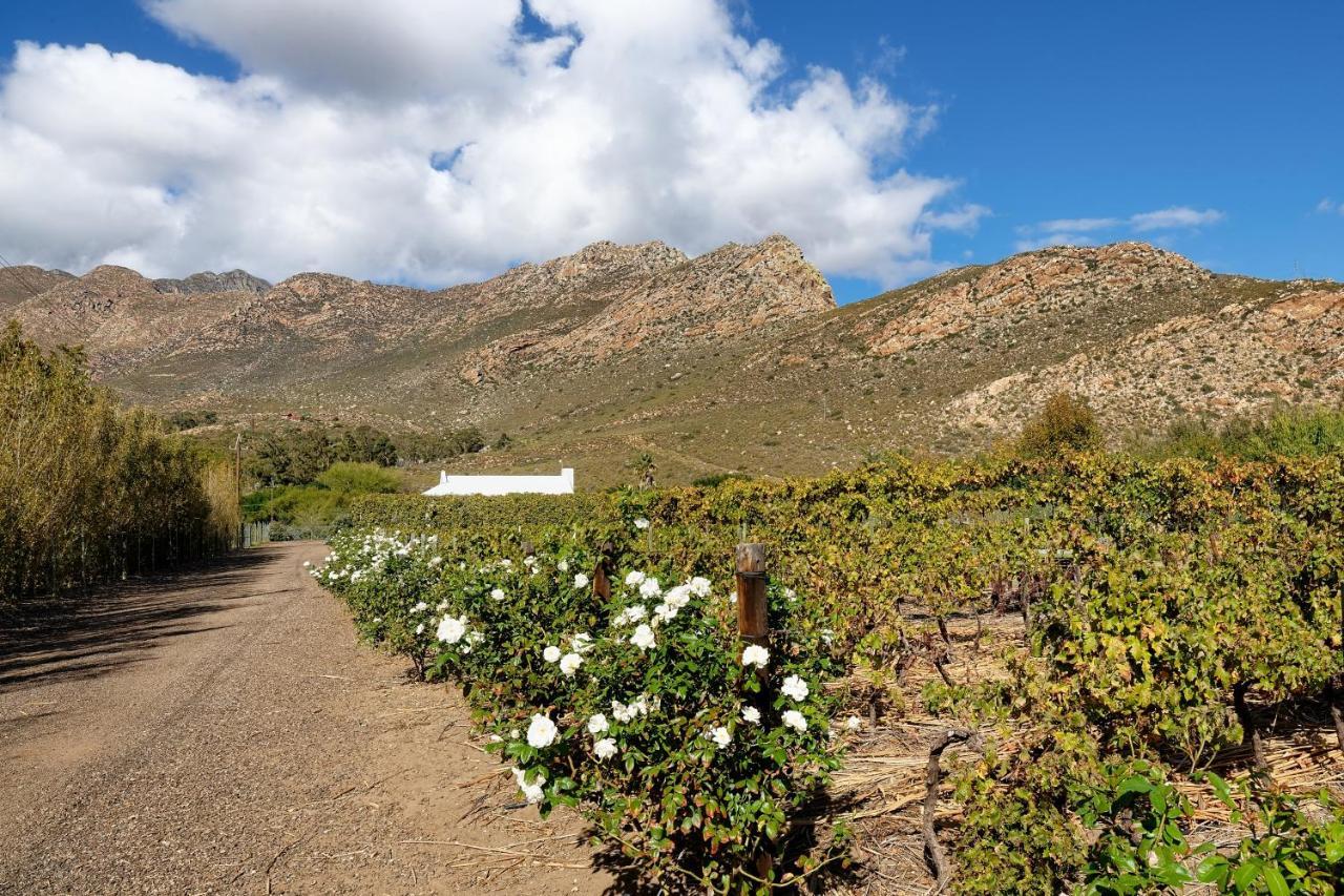 Jus Limin Hotel Montagu Luaran gambar