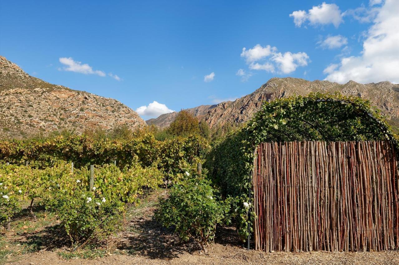 Jus Limin Hotel Montagu Luaran gambar